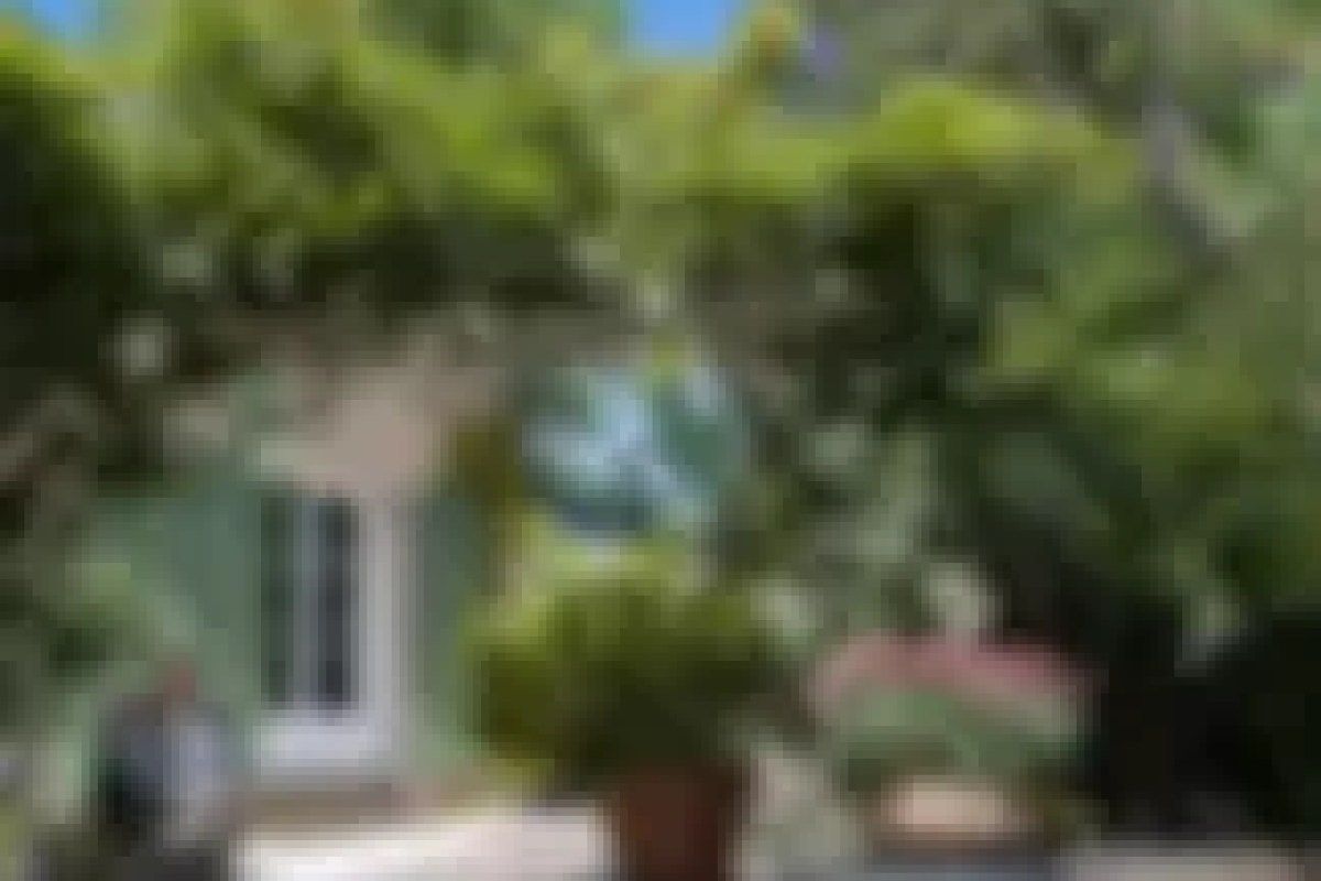 Blurry exterior view of a green-shuttered building covered in greenery