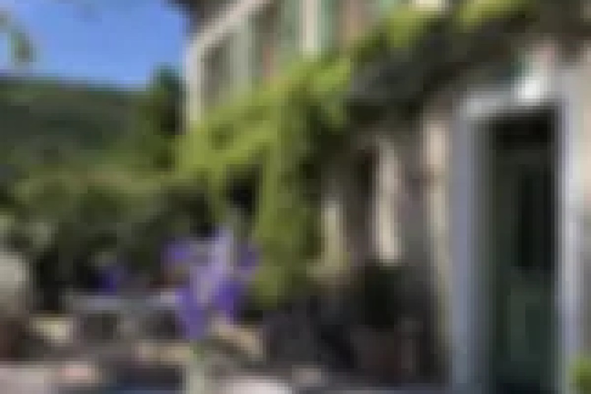 Blurry exterior shot of a building with vines, door and flowers