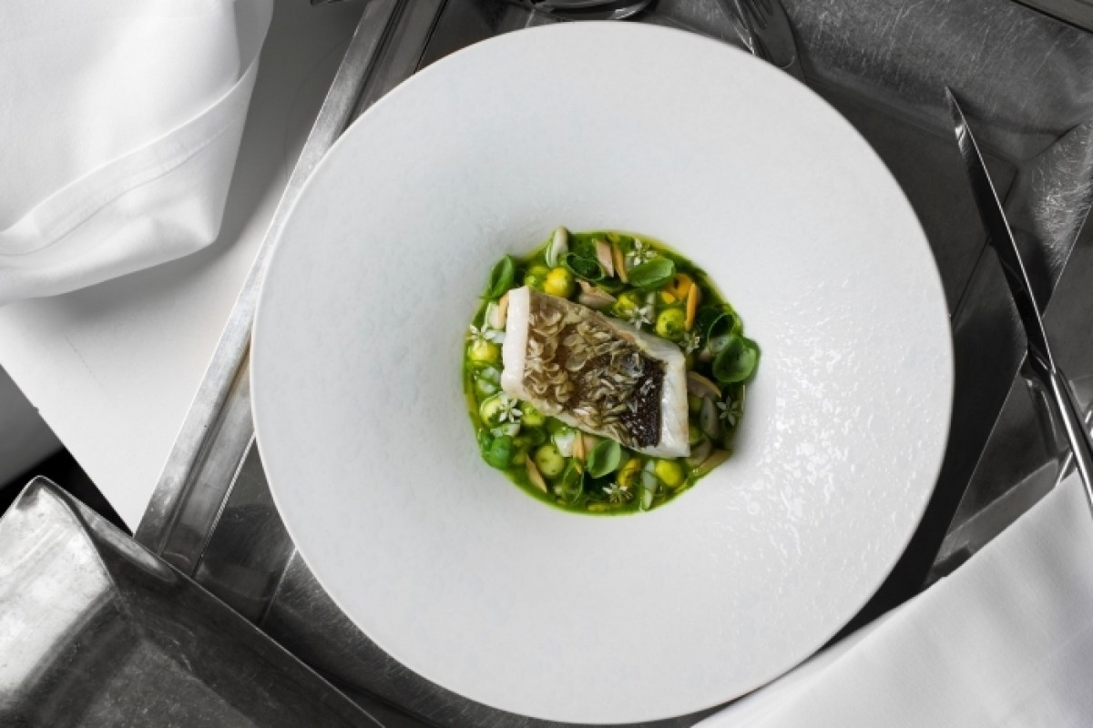 Plated fish dish with green herb sauce and peas on white plate
