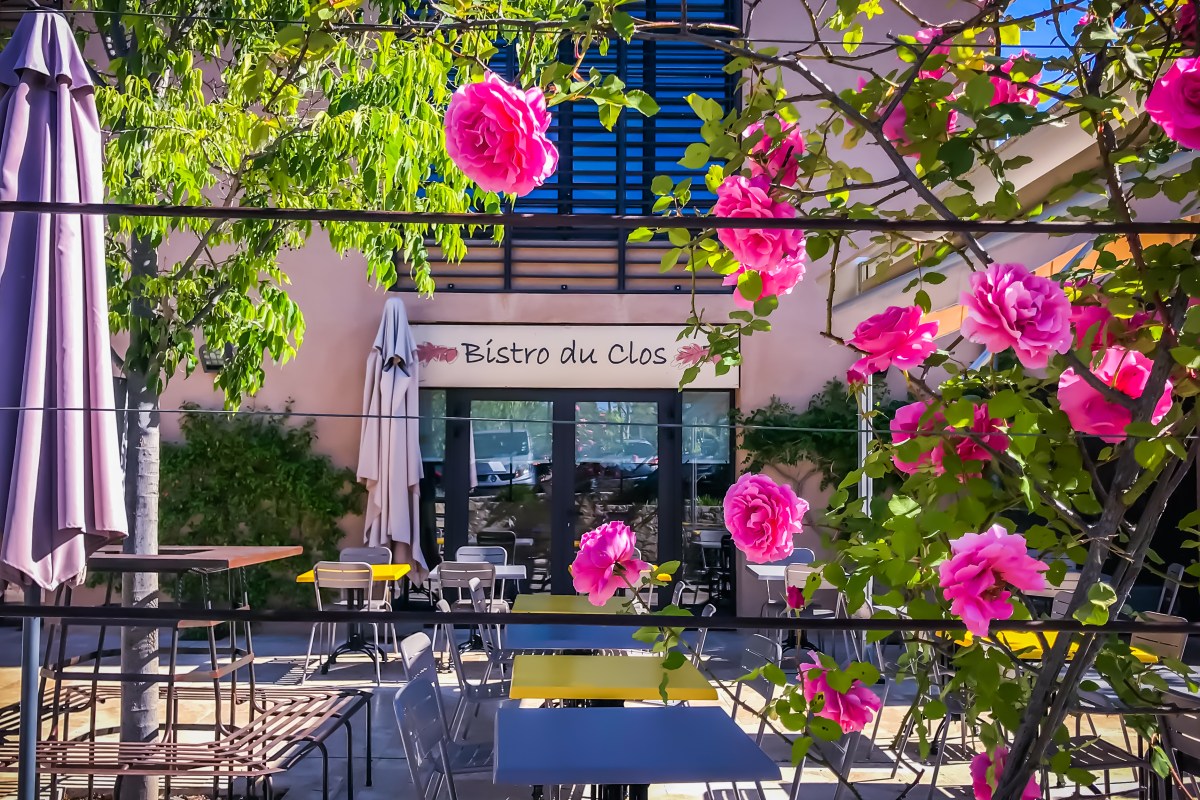 Sunny terrace with yellow tables, umbrellas and pink roses framing the 'Bistro du Clos' entrance sign.