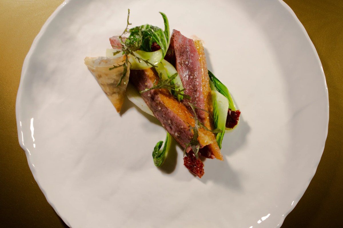 Plated dish with sliced duck breast, bok choy, dried fruit, and a pastry triangle on a white plate