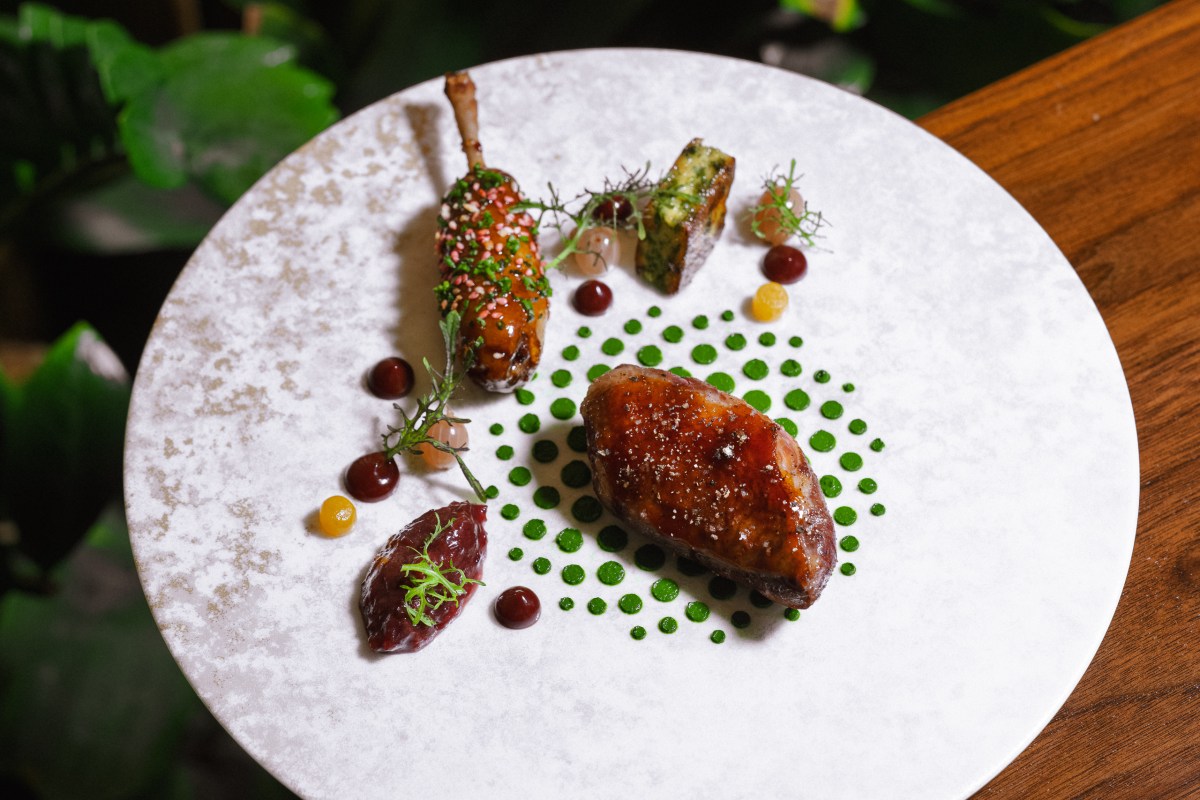 Plated dish of roasted quail or squab with berries and herb garnish, fine dining presentation