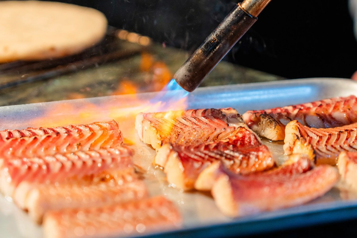 Chef using a blowtorch to sear red mullet fillets on a tray in the kitchen
