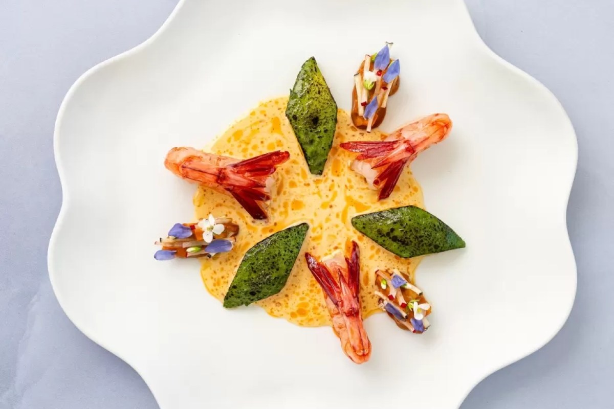 Artfully plated langoustines with green tuile and saffron sauce on a scalloped white plate