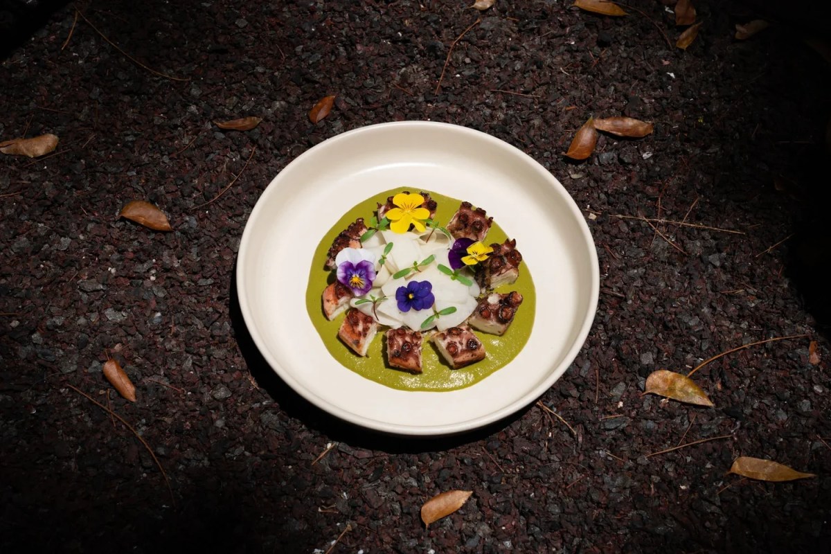 Plated octopus dish with green sauce and edible flowers on a white plate, set outdoors on dark gravel