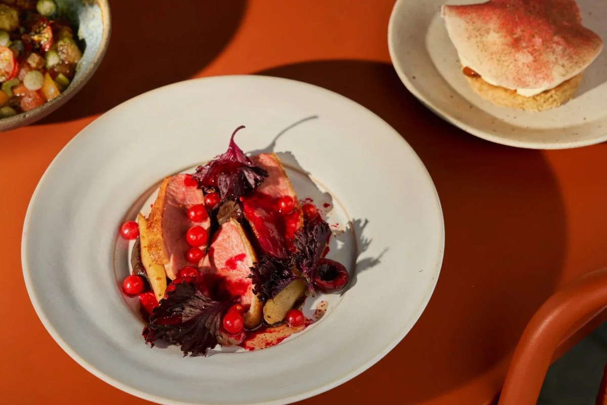 Plated duck or meat dish with berries and herbs on orange table, with side dishes