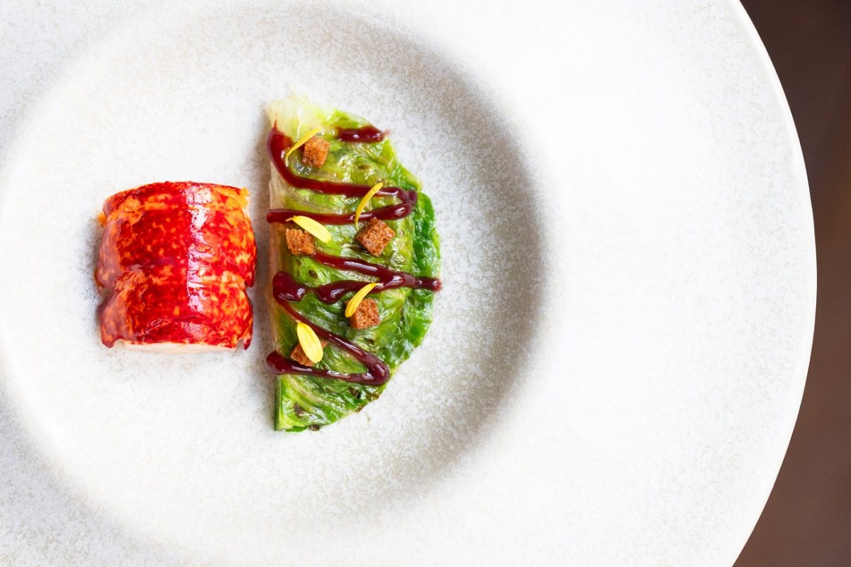 Plated dish with seared fish, green vegetable and dark sauce drizzle on white plate