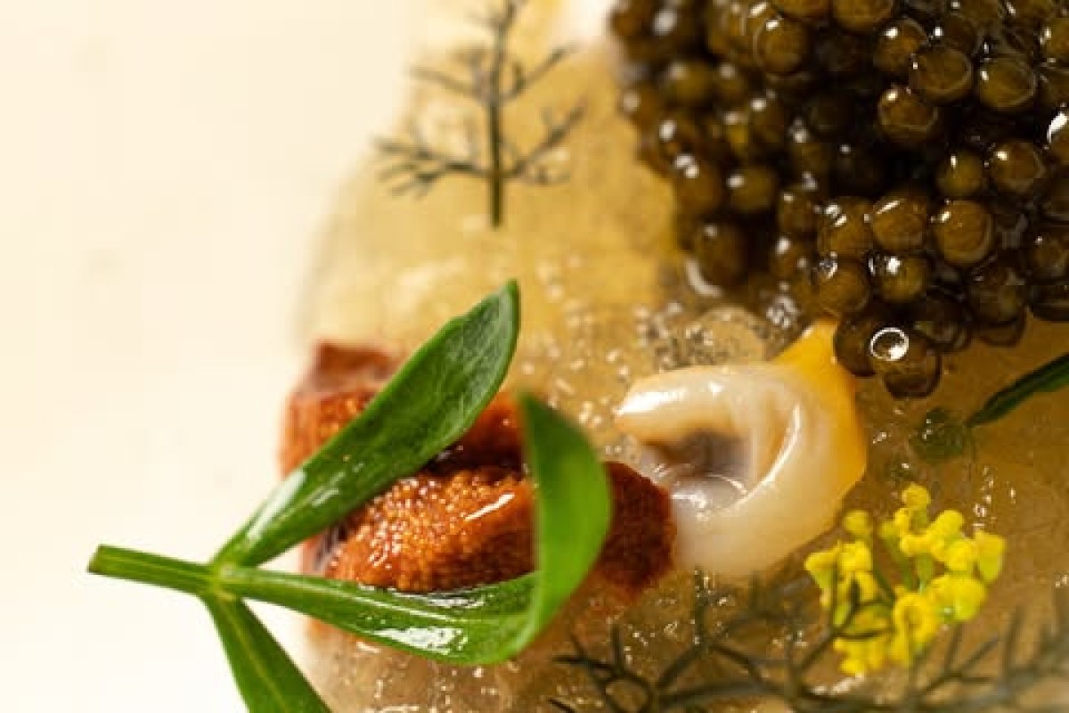 Close-up gourmet dish with caviar, a shellfish, and herb garnish on a glossy sauce