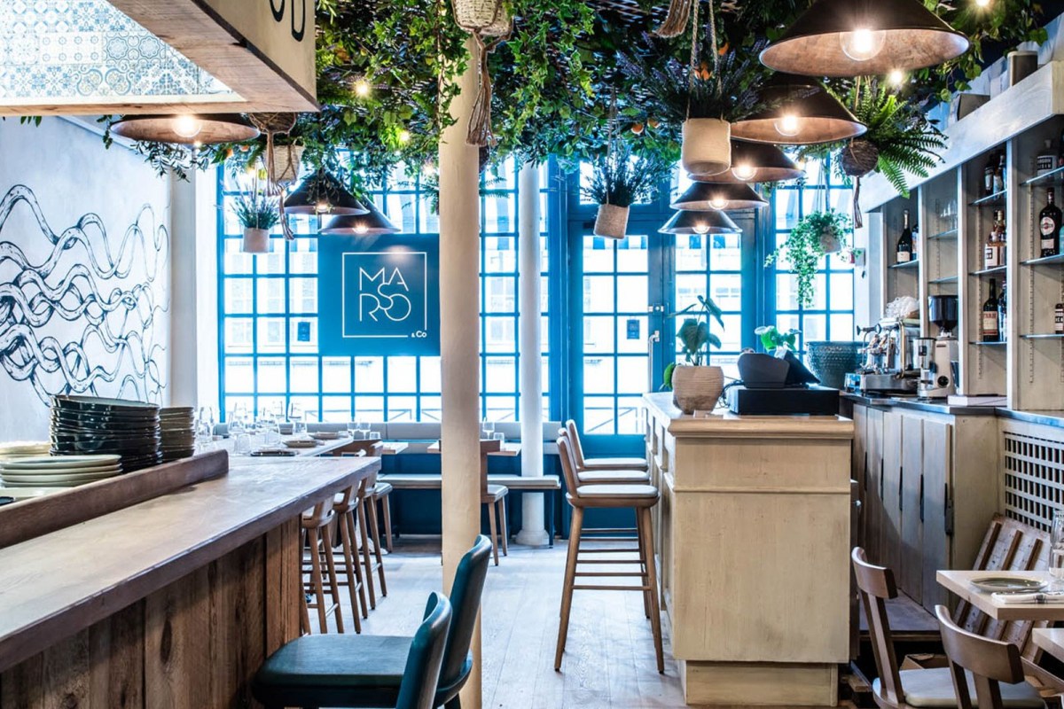 Interior dining room and bar at Marso & Co with hanging plants and lights, blue-framed windows.
