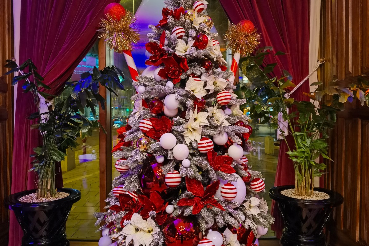 Decorated Christmas tree in the hotel's lobby entrance with red curtains and street view beyond.