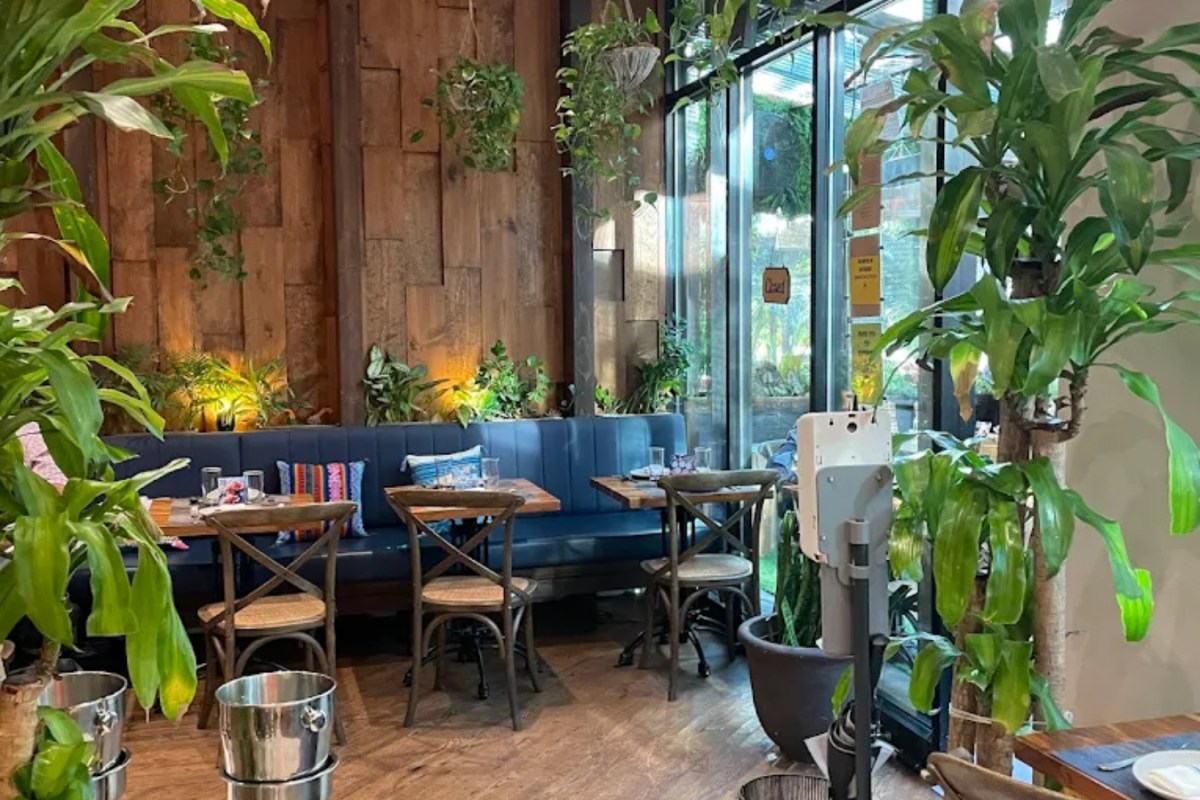 Cozy dining area with lush greenery, wooden accents, and blue booth seating near large windows