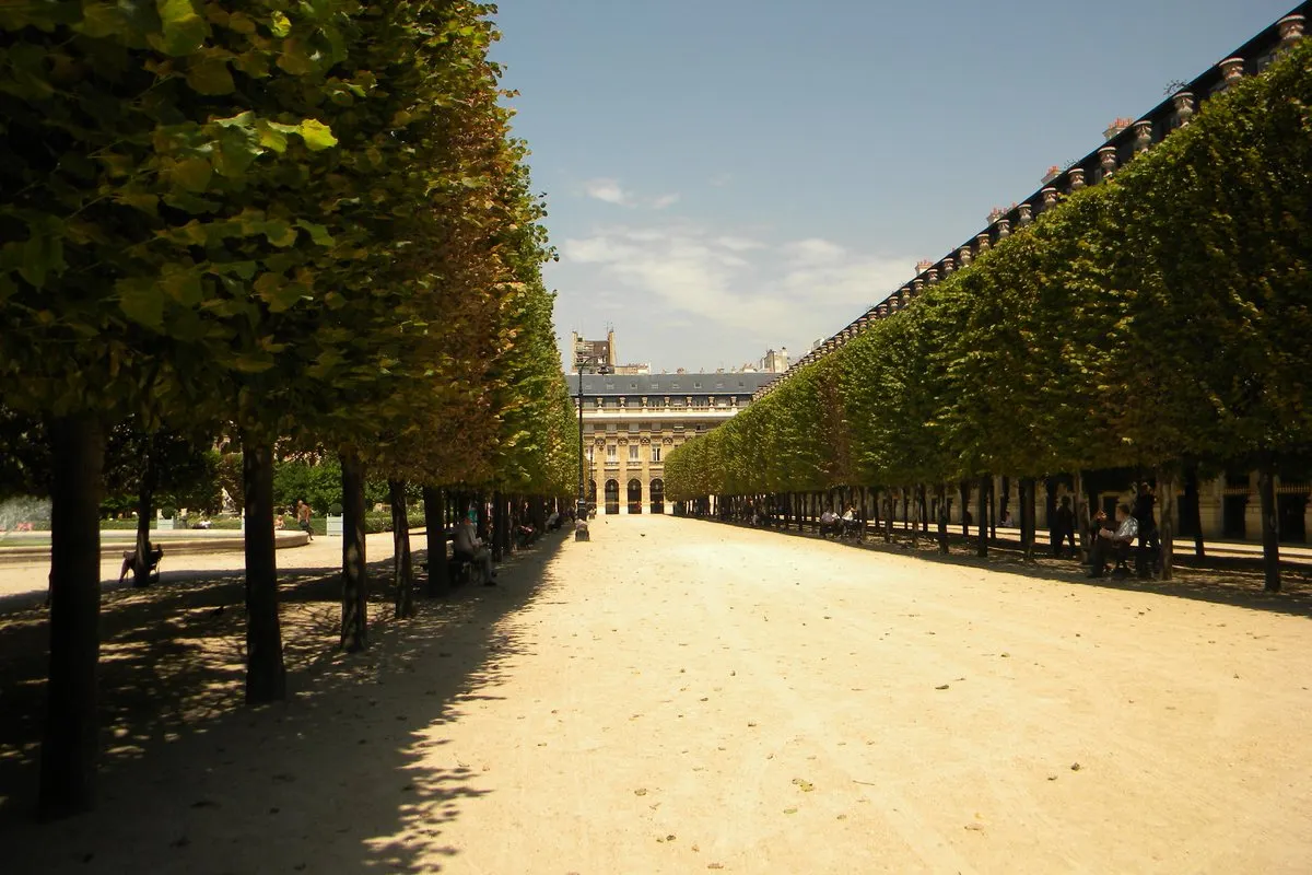 Trimmed lime tree avenues and a gravel path in the Jardin du Palais-Royal in Paris in sunlight