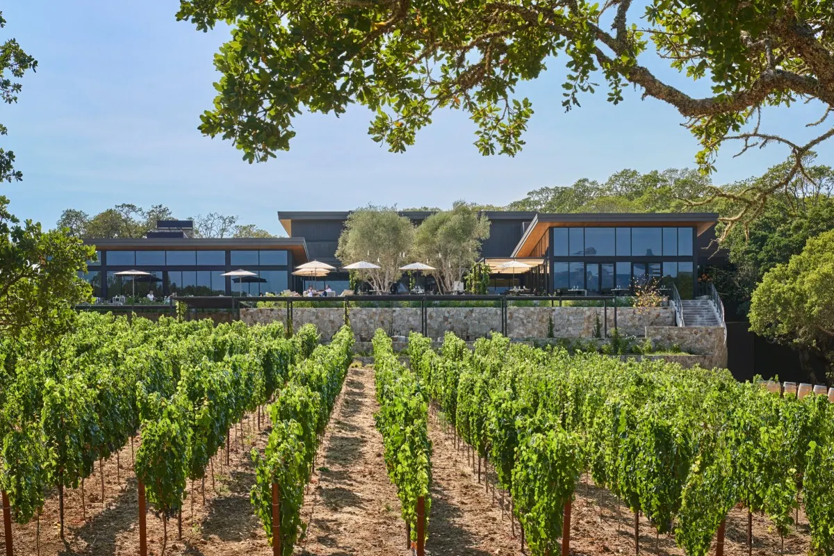 Montage Healdsburg's modern dark-wood building seen beyond rows of green vineyard under an oak tree frame