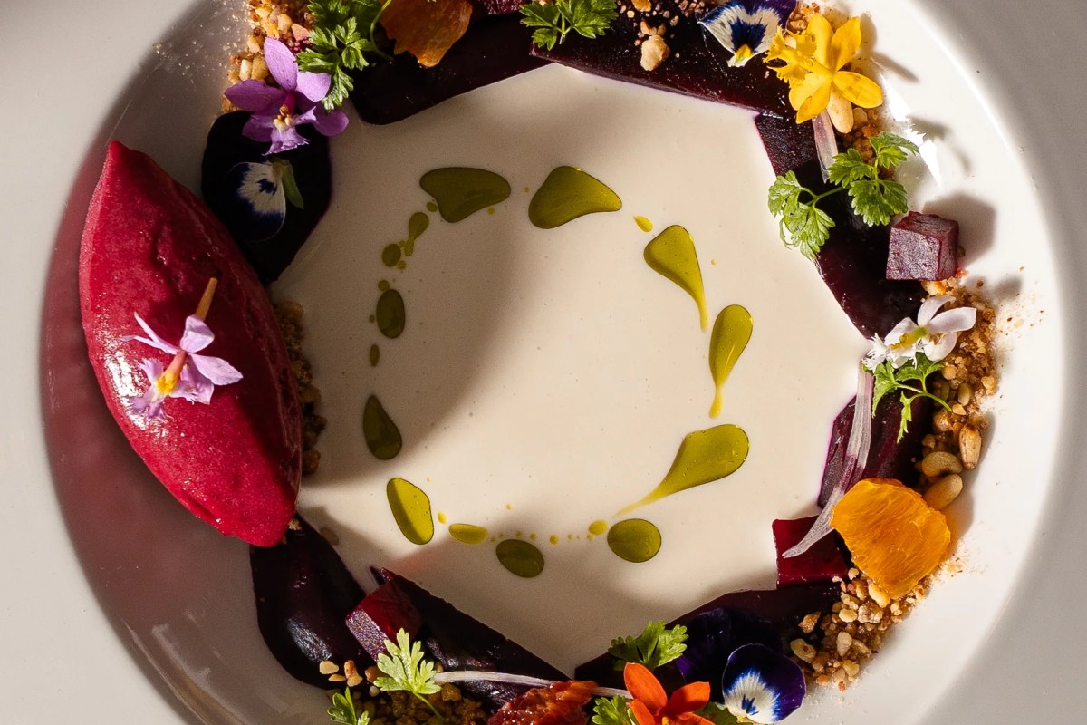 Artfully plated dessert with red sorbet, beet slices, edible flowers, and olive oil swirls on white plate
