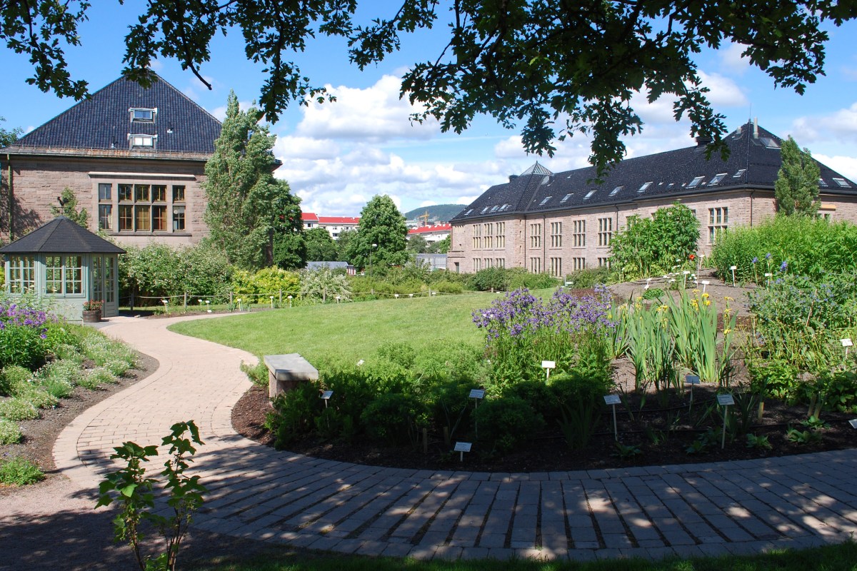 Botanical garden view with greenhouse and museum buildings in the background, Oslo