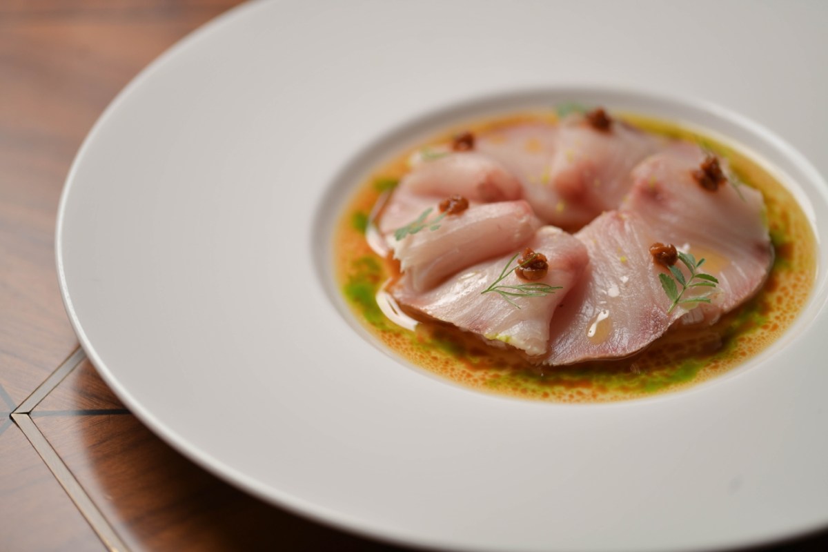 Elegant white plate with thin slices of fish sashimi drizzled with sauce and garnished with herbs