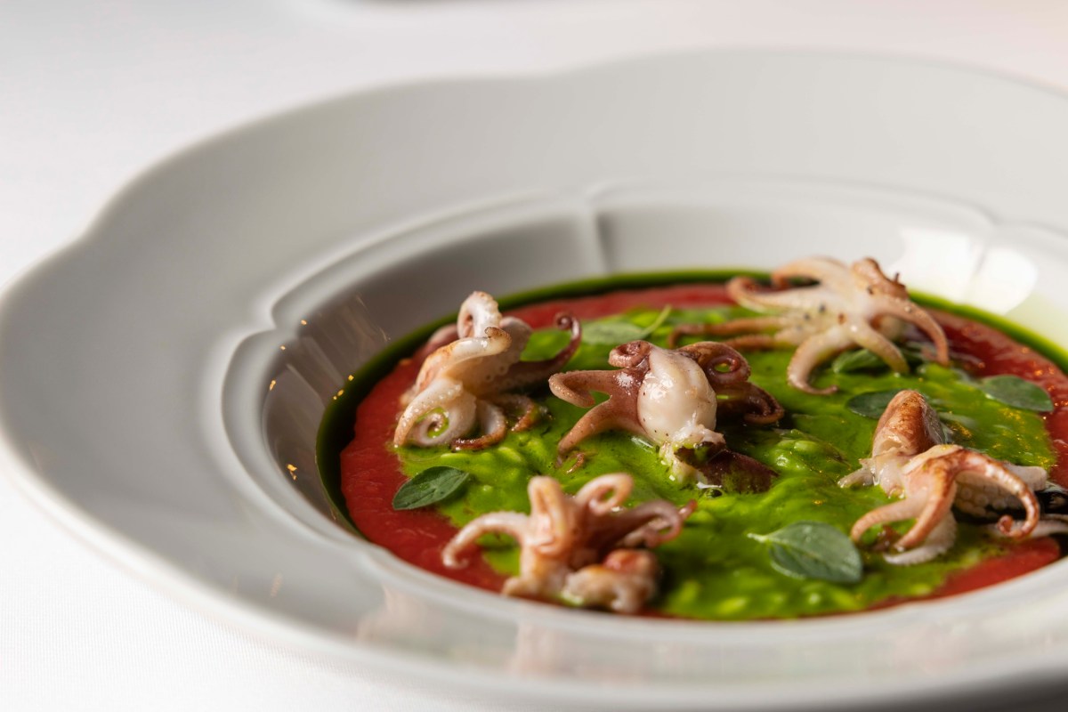 Plated dish with baby octopus over green sauce and red tomato coulis on white plate