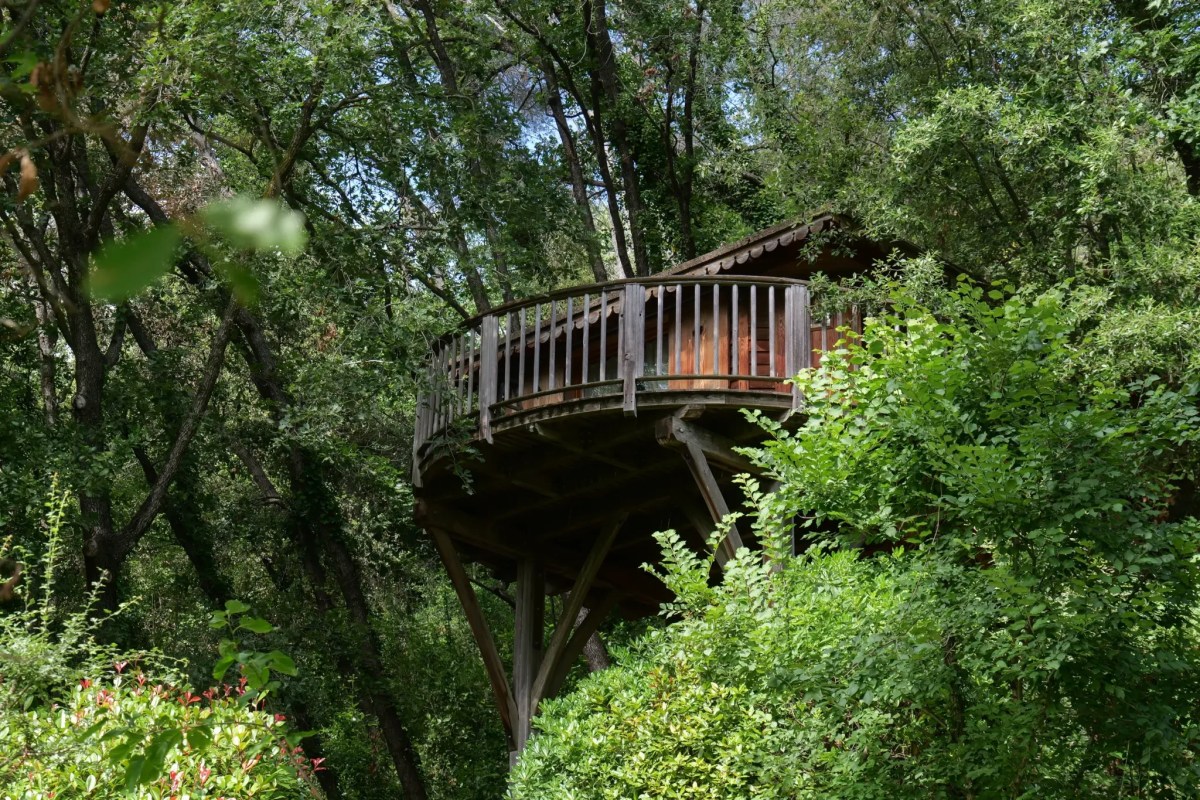 Elevated wooden treehouse on stilts with round balcony, nestled among tall trees