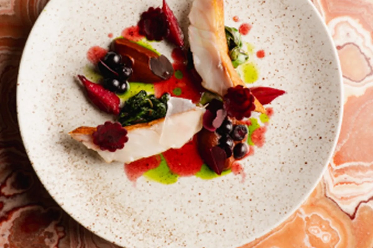 Plated dish with fish, beetroot, blueberries and herb garnish on a speckled ceramic plate