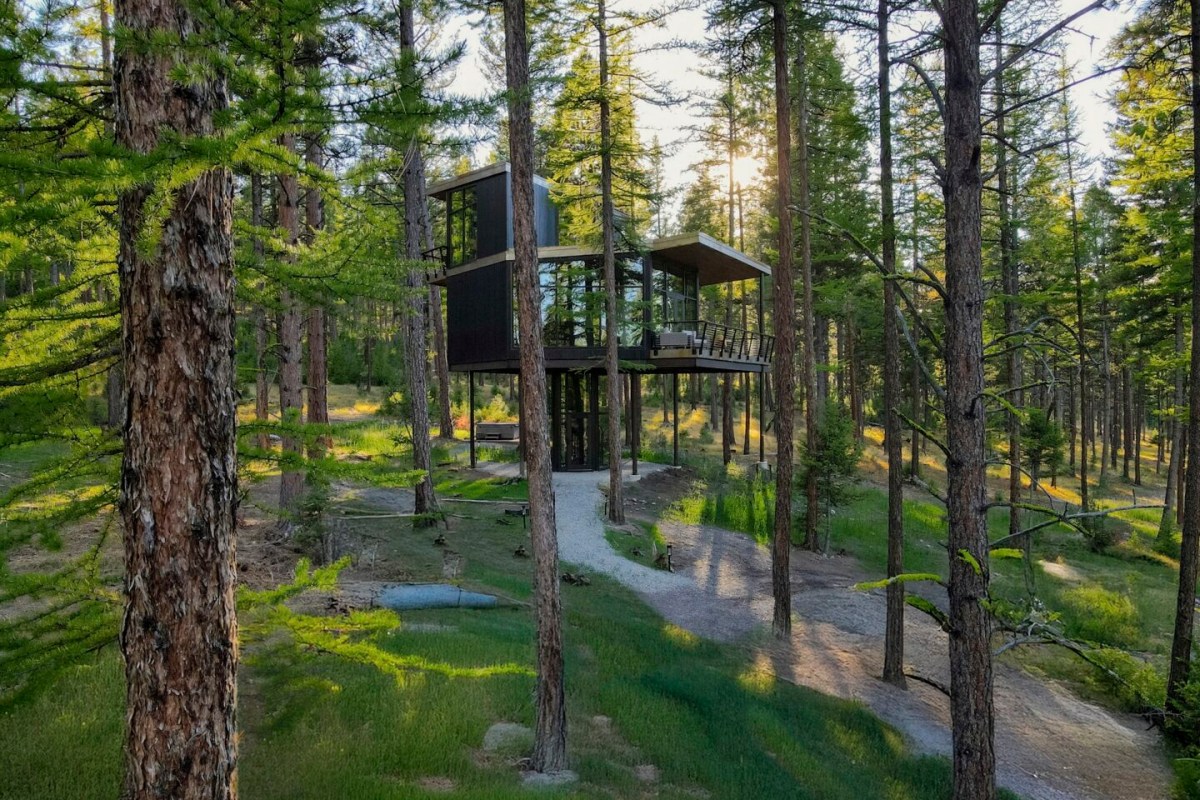 Modern glass and dark wood treehouse-style guest cabin elevated on stilts among tall pine trees