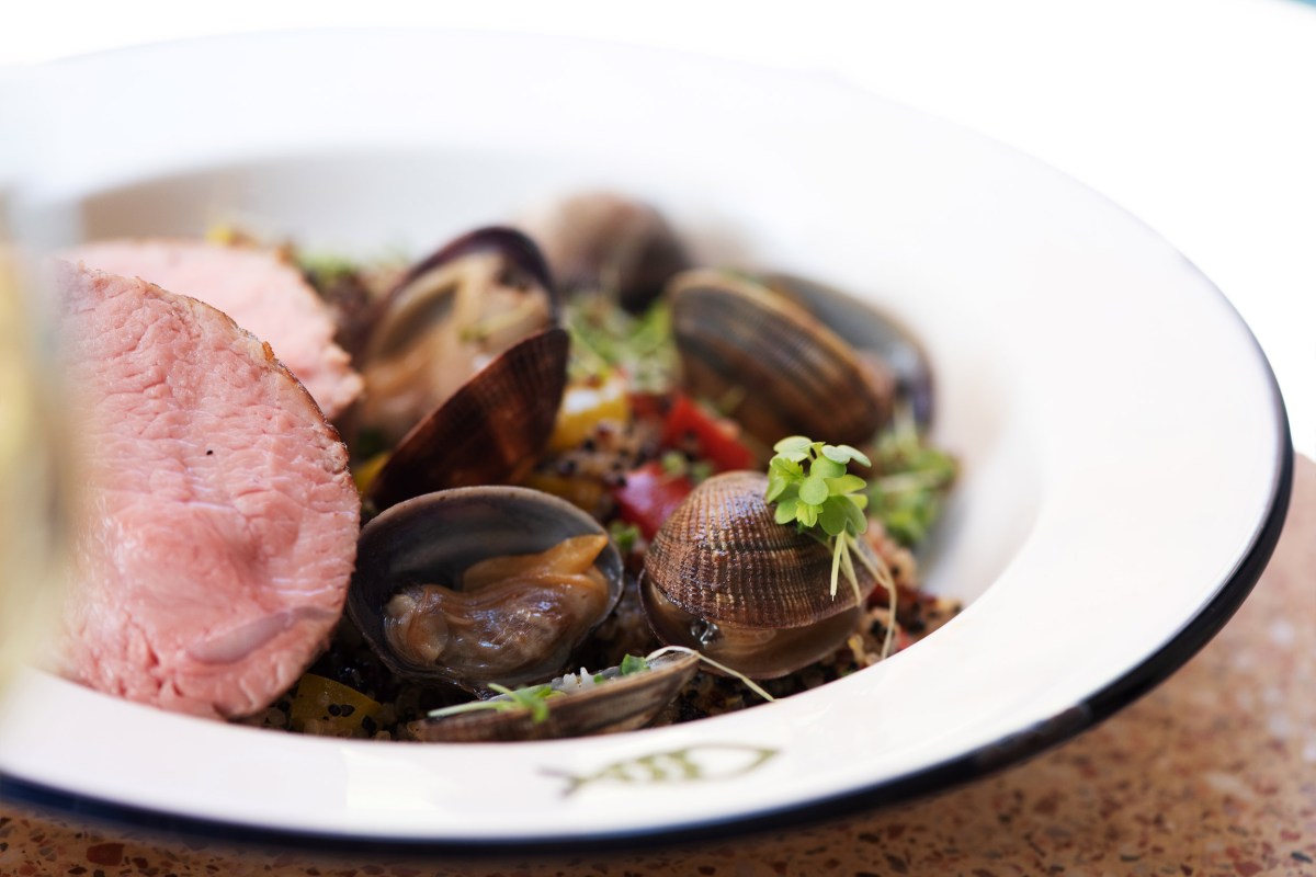 White bowl with clams, mussels, sliced meat and quinoa salad, elegant plating
