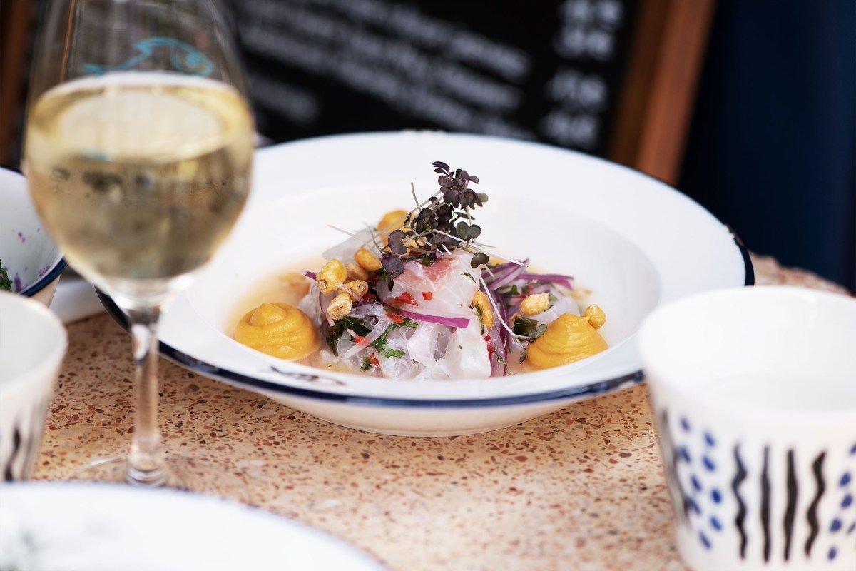 Ceviche-style fish dish in white bowl with blue rim, glass of white wine beside it on a terrazzo tabletop