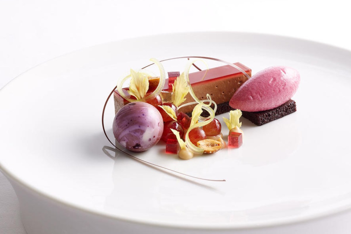 Elegant plated dessert with chocolate, pink mousse, red jelly cubes, and berry garnish on white plate