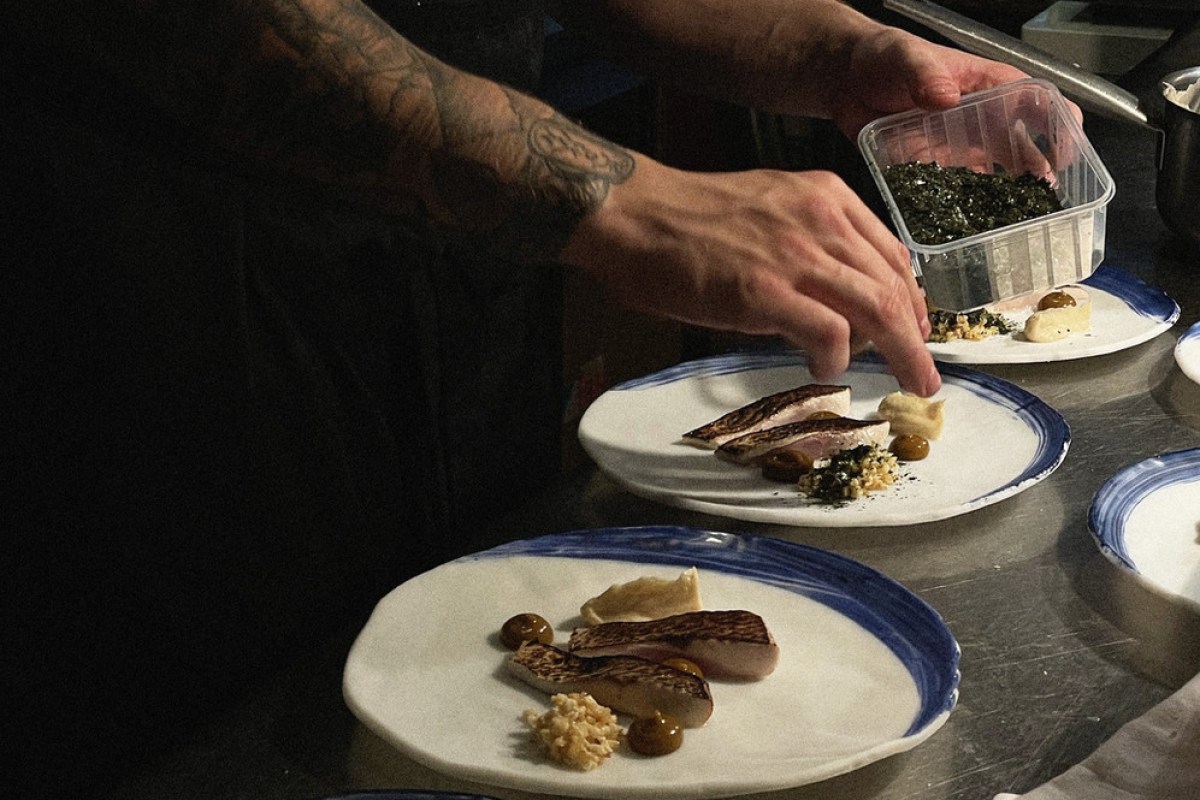 Chef's tattooed hands plating fish dishes on blue-rimmed ceramic plates in the kitchen