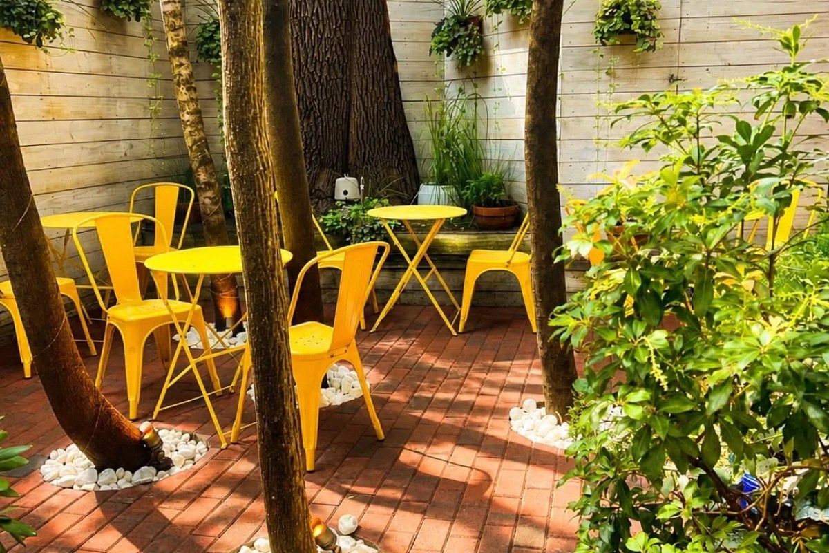 Sunlit outdoor patio with yellow metal chairs and tables among potted plants and tree trunks