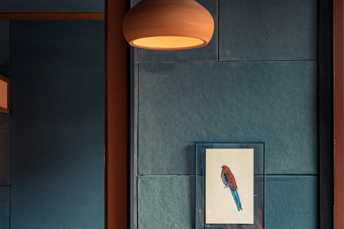 Restaurant interior wall detail with pendant lamp and framed bird illustration