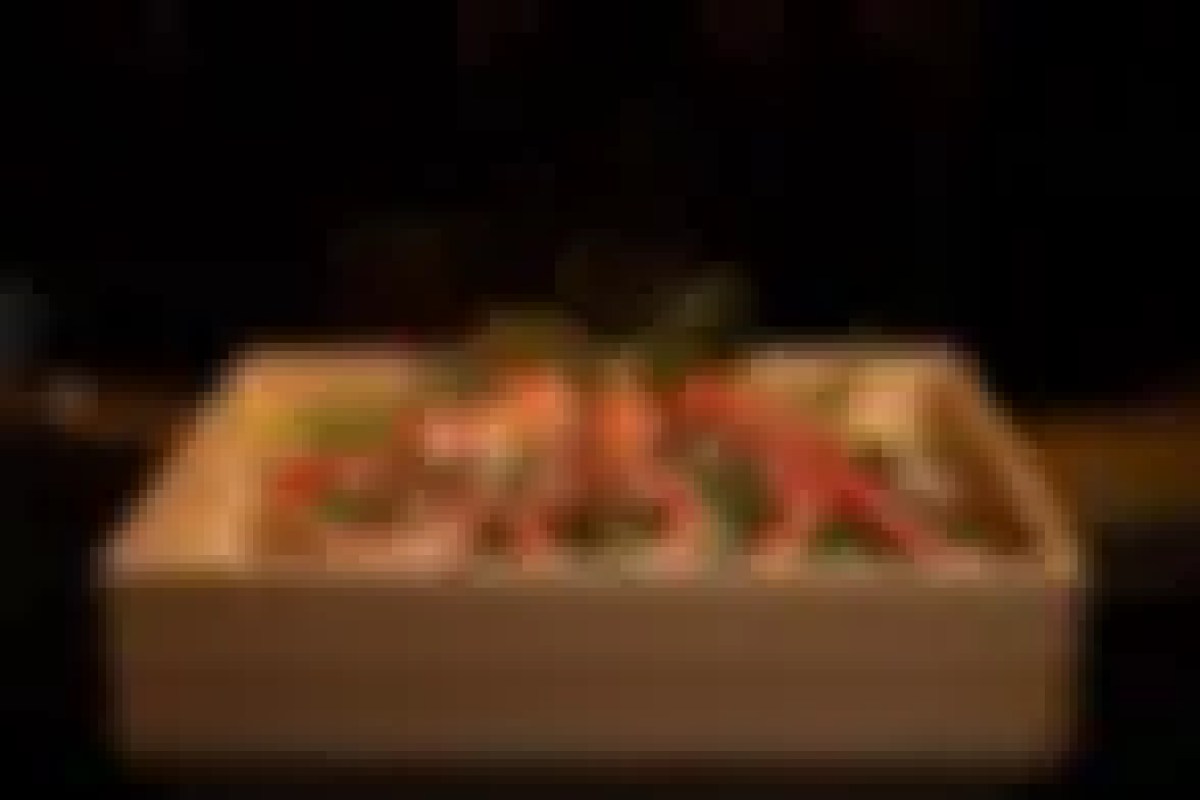 Close-up of an omakase dish with assorted sashimi pieces in a wooden box, though image is blurry.