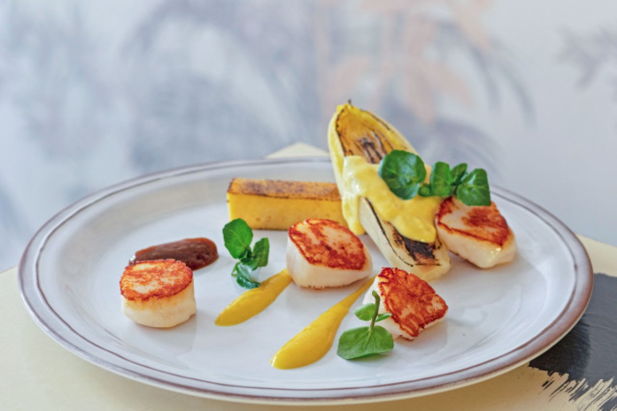 Plated dish of seared scallops with yellow sauce, grilled endive and herb garnish