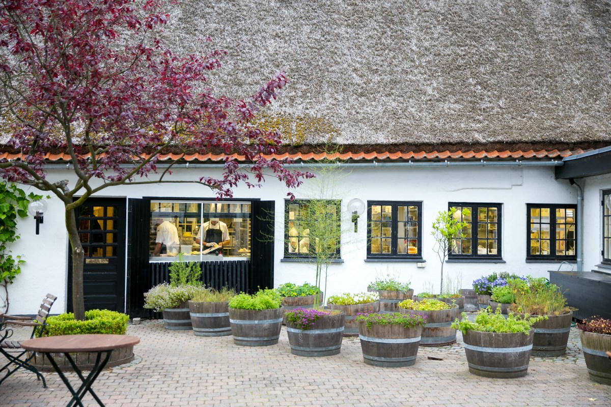 Courtyard terrace with herb-filled barrel planters and a red maple tree against the thatched building