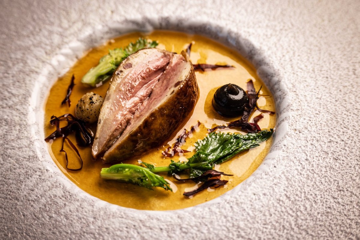 Plated dish of sliced roasted meat in golden sauce with greens and herbs