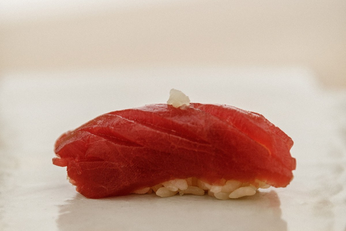 Single piece of tuna nigiri sushi on a plate