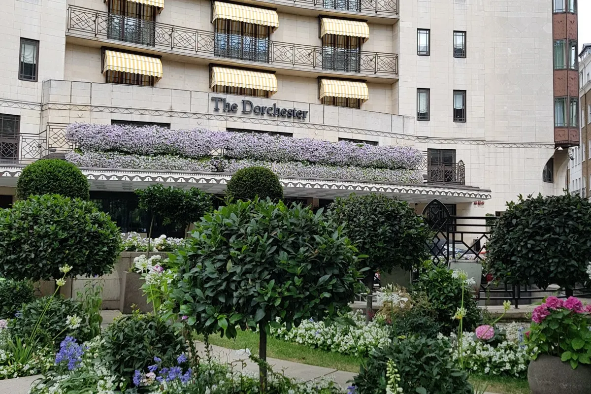 The Dorchester's facade behind a manicured garden with topiary and purple floral planters along the entrance canopy.
