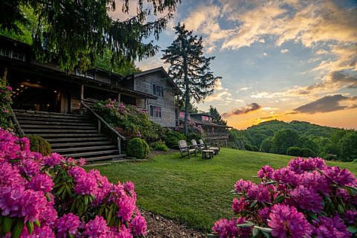 The Swag's rustic wooden lodge exterior with staircase, lawn, and pink rhododendron blooms at sunset with mountain views