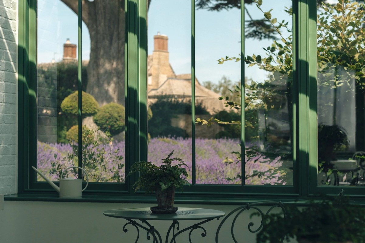 Conservatory window with potted fern looking out over a lavender field toward the manor house