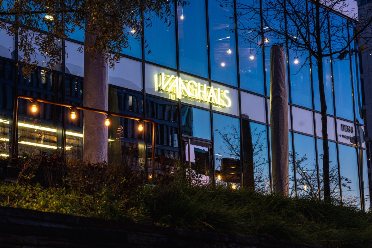 Vaaghals neon sign glowing in glass building facade at dusk, viewed from outside with greenery in foreground
