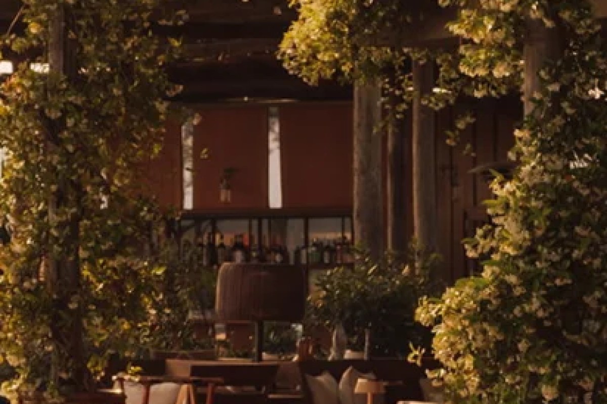 Restaurant bar area seen through lush greenery and flowering vines, warm evening light