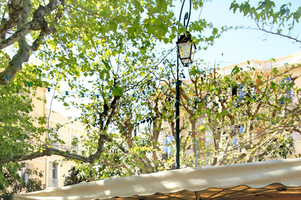 The Saturday Provençal market in Beaulieu-sur-Mer