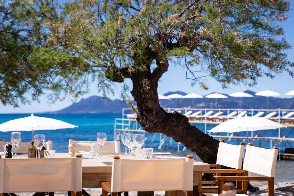 Tables under a pine at the Tamaris beach of the Palm Beach on Pointe Croisette, with the Estérel across the bay