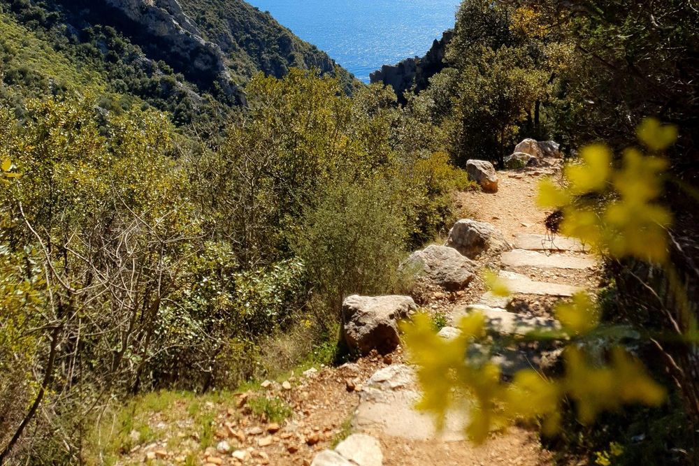 The stony Chemin de Nietzsche climbing between shrubs and yellow broom above the sea at Èze