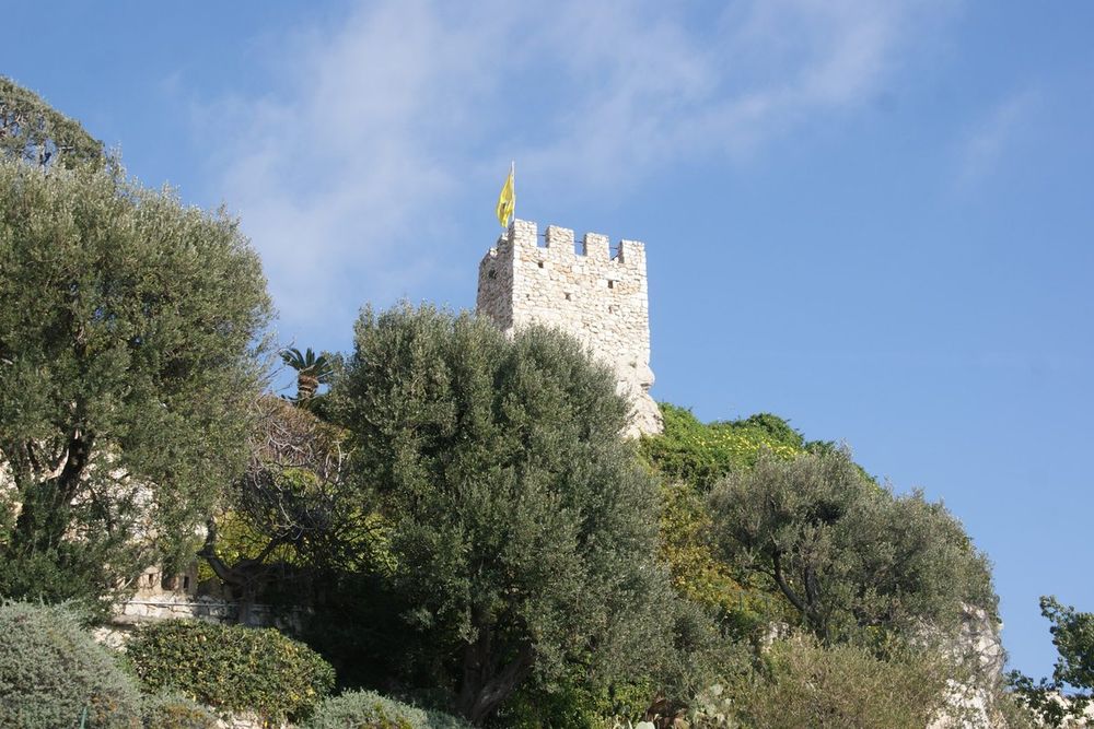The crenellated Saracen tower of Cap-d'Ail rising above olive trees and green hillside