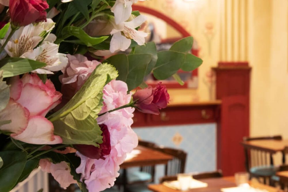 Comptoir du Marché – Vieux Nice's grandmother-kitchen bistro