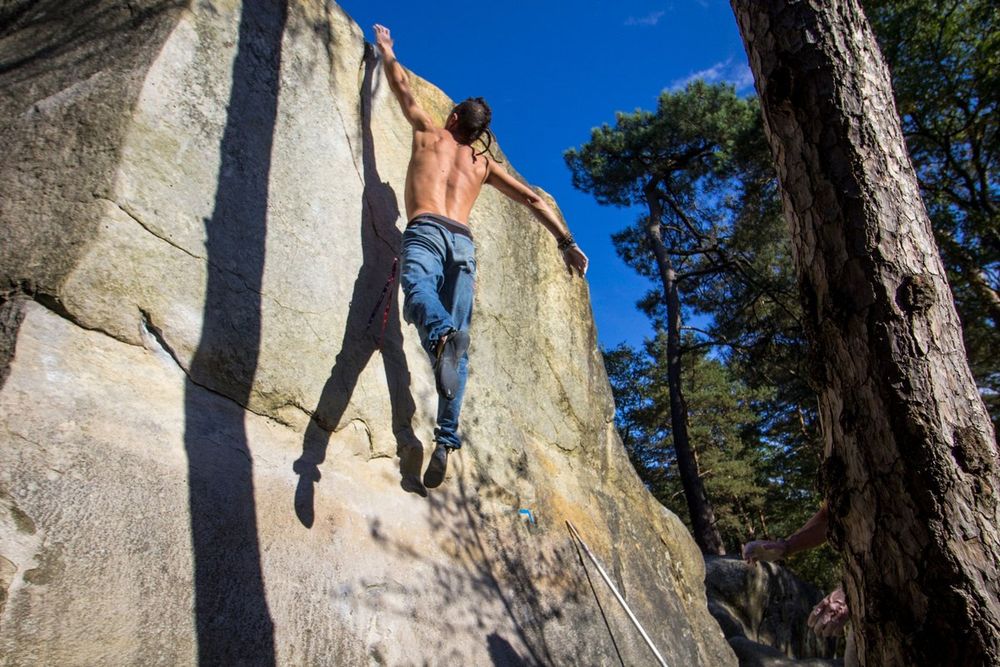 A climber on a tall sandstone face among pines in the forest of Fontainebleau