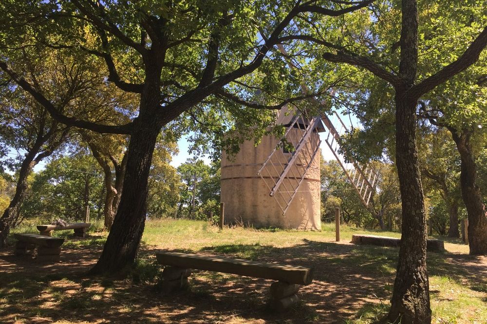 The Moulin de Paillas seen through oak trees, with picnic benches in the shade