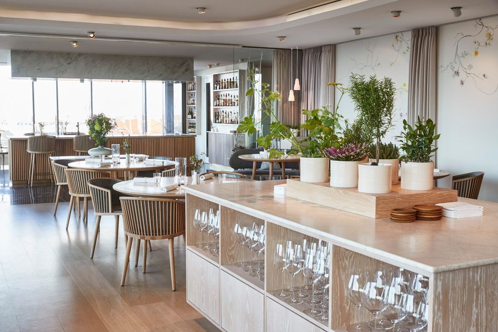 Geranium – three stars above the treetops of Fælledparken