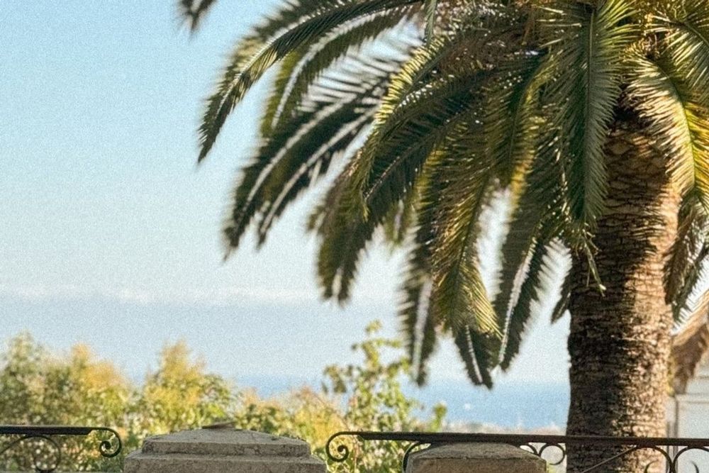 A palm tree and the sea seen over the railing of La Maison Bellevue on Place Bellevue