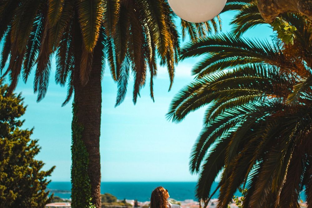 Palms framing the sea from Place Bellevue in the Vieux-Cannet